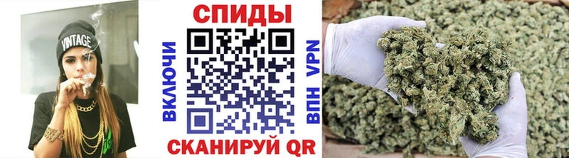 магазин  наркотиков  Цивильск  Бутират BDO 33% 